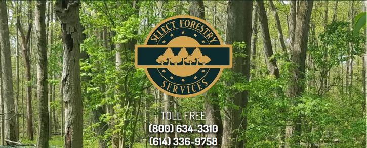 Image for Select Forestry Services with ID of: 3791239
