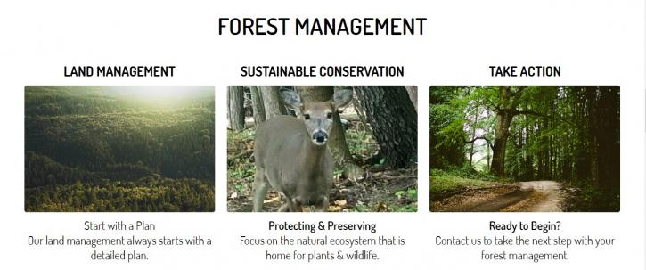 Image for Select Forestry Services with ID of: 3791242