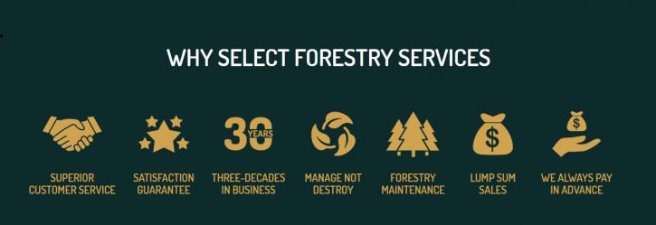 Image for Select Forestry Services with ID of: 3791246