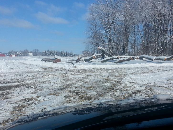 Image for Select Forestry Services with ID of: 3791249