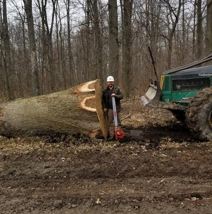 Image for Select Forestry Services with ID of: 3791262