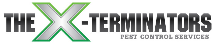 Image for The X-Terminators with ID of: 3791381
