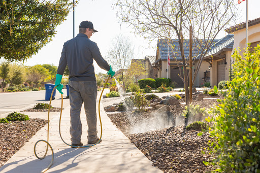 Image for All Clear Pest Control with ID of: 3794074