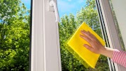 Image for Clean Arrival LLC with ID of: 3794144