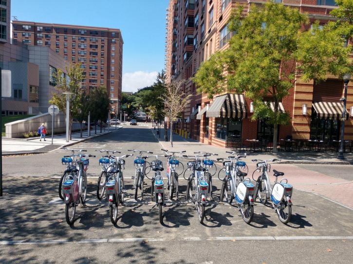 Image for JerseyBike with ID of: 3795037