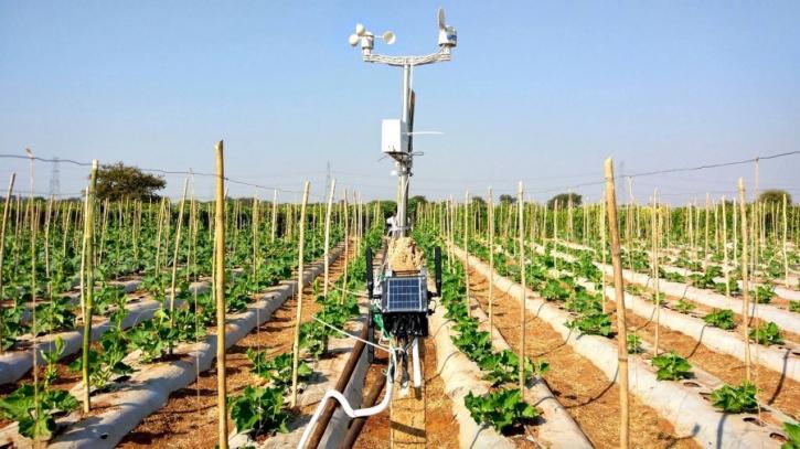 Image for Training Data for AI in Agriculture with ID of: 3796436