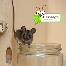 Image for Heritage Pest Control with ID of: 3796509