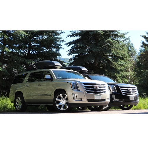 Image for Blue Sky Limo with ID of: 3799183