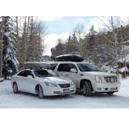 Image for Blue Sky Limo with ID of: 3799184