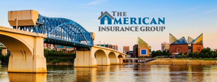 Image for The American Insurance Group, LLC with ID of: 3799745