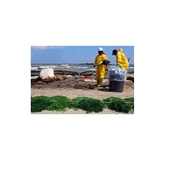 Image for Quality Environmental, Inc. with ID of: 3800103