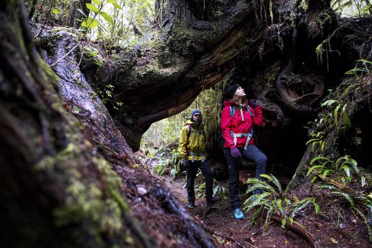 Image for Atmosphere Calgary Downtown with ID of: 3801757