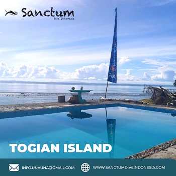 Image for Togian Island with ID of: 3802308