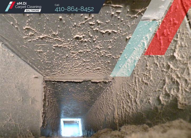 Image for eM.Di Carpet Cleaning Baltimore with ID of: 3803466