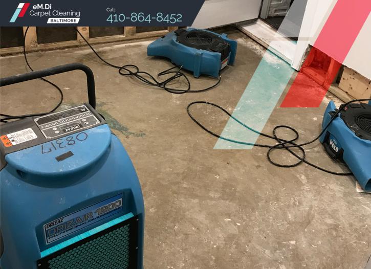 Image for eM.Di Carpet Cleaning Baltimore with ID of: 3803471