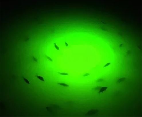 Image for Green Glow Dock Light, LLC with ID of: 3803555