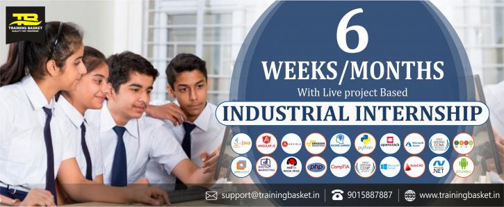 Image for 6 months industrial training in noida with ID of: 3803866