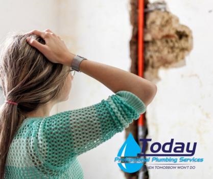Image for Today Professional Plumbing Services with ID of: 3806642