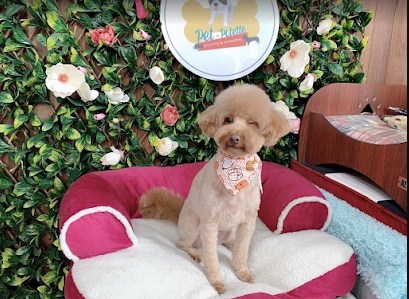 Image for Pet Palette with ID of: 3810639