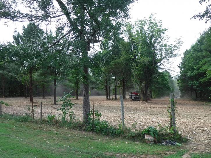 Image for Brush Clearing Services Plus LLC with ID of: 3811357