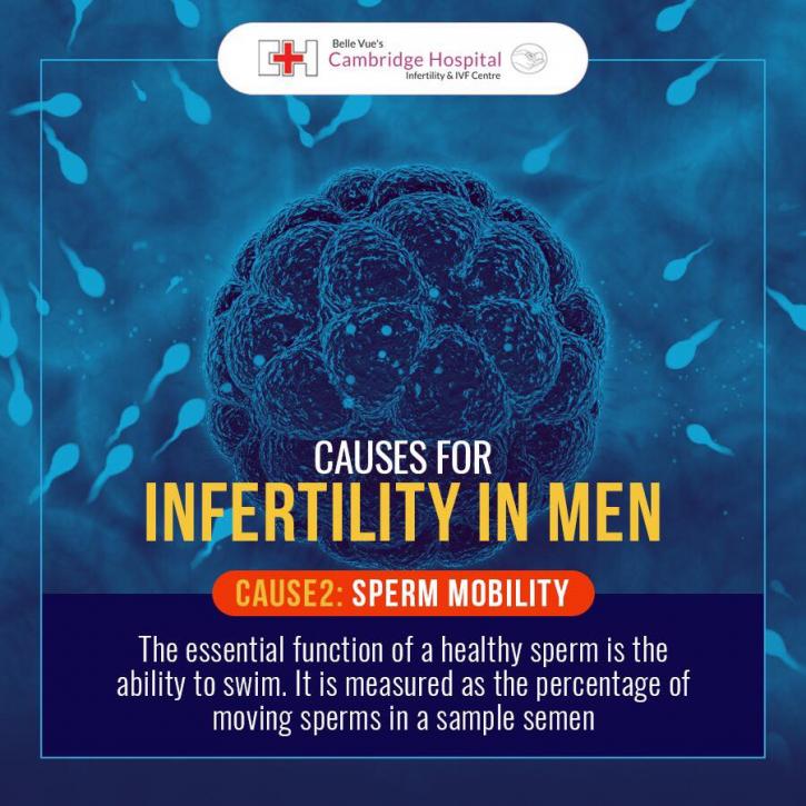 Image for Best IVF Doctor In Bangalore with ID of: 3812251