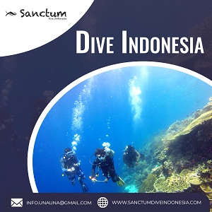 Image for Dive Indonesia with ID of: 3812824