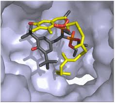 Image for Inorganic Nanomaterials with ID of: 3814242