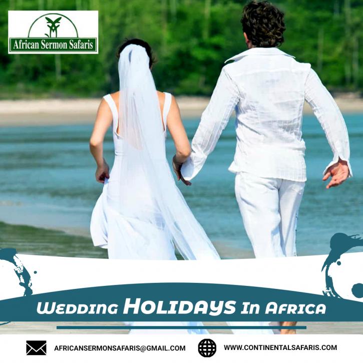 Image for Wedding Holidays In Africa with ID of: 3815366
