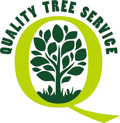 Image for Quality Tree Service with ID of: 3816420