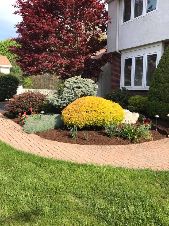 Image for Full Service Landscaping Corp with ID of: 3818625