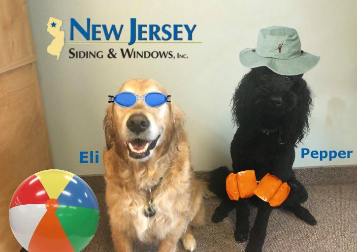 Image for New Jersey Siding & Windows, Inc. with ID of: 3818723