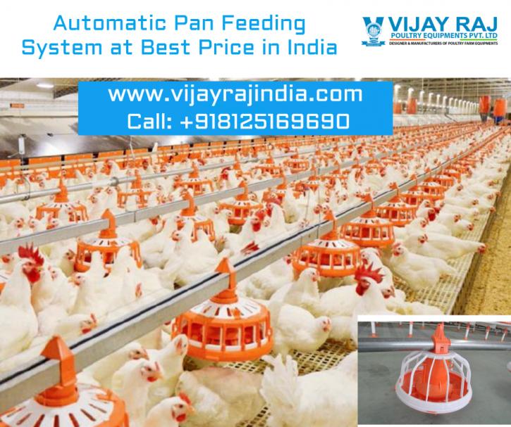 Image for Automatic Pan Feeder System for Poultry with ID of: 3819719