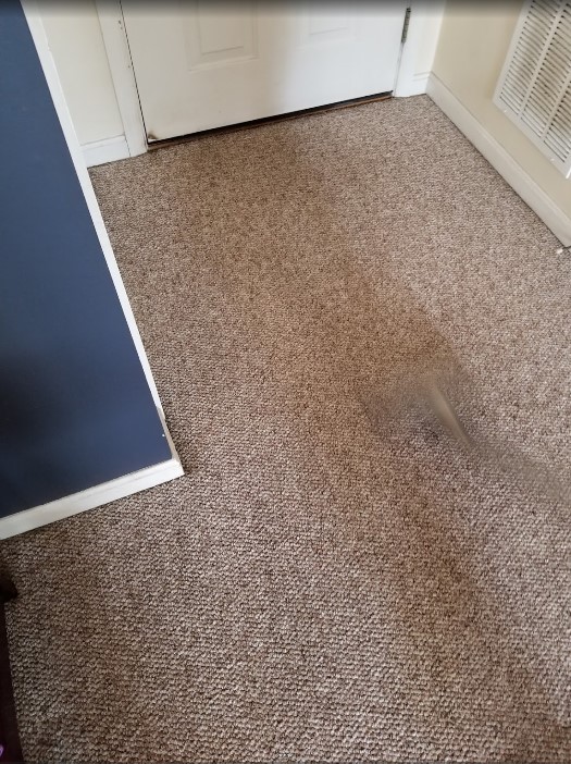 Image for Superior Cleaning Solutions LLC with ID of: 3820037