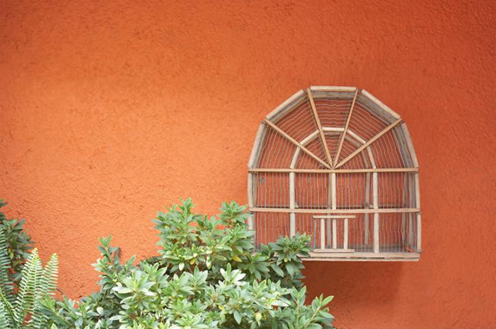 Image for Rivera Plastering & Stone, Inc with ID of: 3822471
