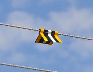 Image for Power Line Sentry, LLC with ID of: 3823370