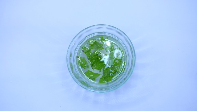 Image for Aloe Vera Extract Market Size, Share, Growth and Trend Analysis Report, 2019 to 2025 with ID of: 3827880