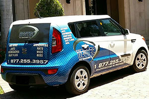 Image for Neotec Pest Management LLC with ID of: 3827931