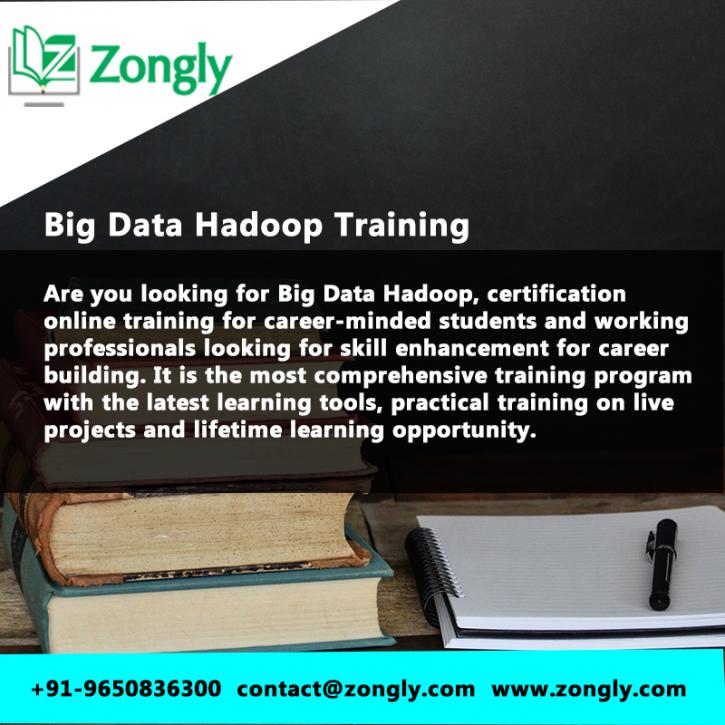 Image for Online Big Data Hadoop Training with ID of: 3828553