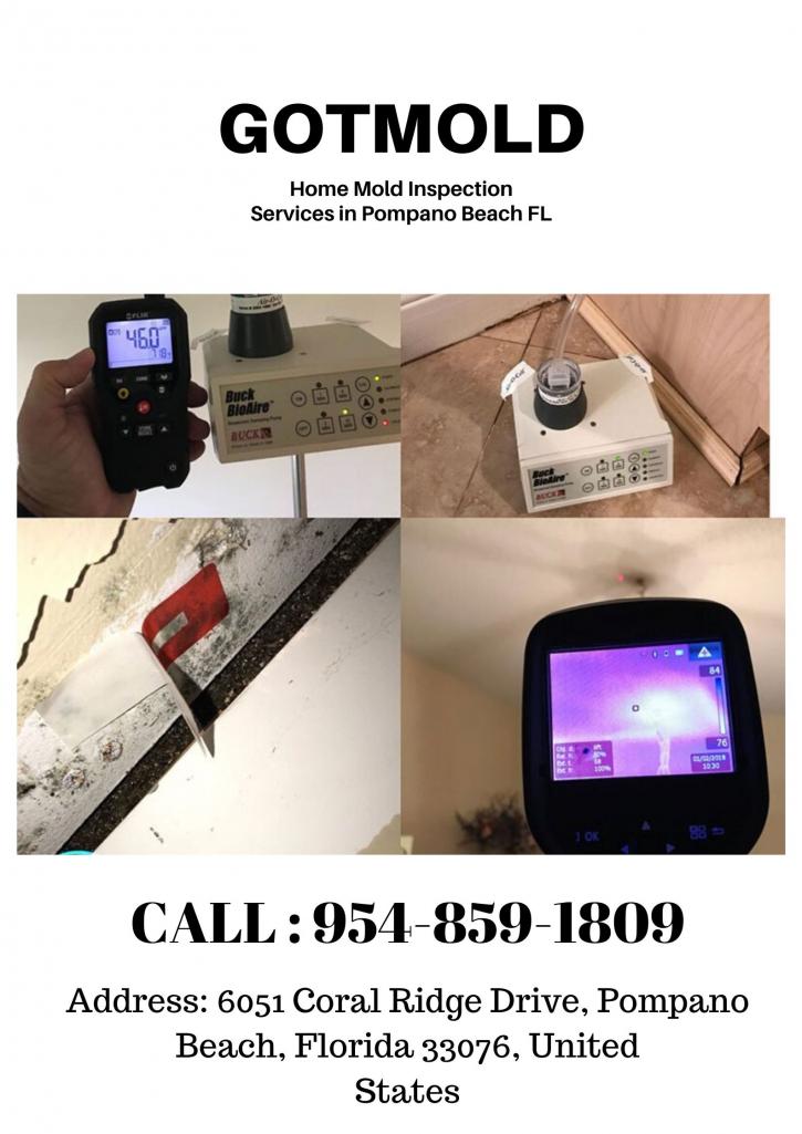 Image for Best House Mold Inspector in Pompano Beach FL with ID of: 3828630