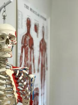 Image for Seattle Clinical Massage School with ID of: 3828799