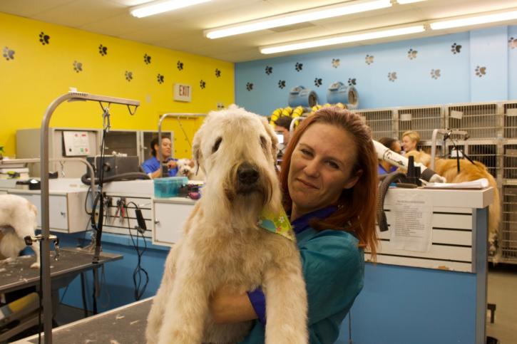 Image for Ridge Dog Shop with ID of: 3829063