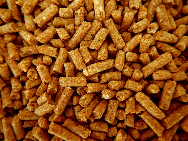Image for Animal Feed Enzymes Market Size, Share, Growth, Trends, and Forecast Report, 2018 to 2025 with ID of: 3833033