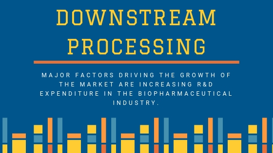 Image for Downstream Processing : An Emerging Market with Attractive Growth Opportunities with ID of: 3839090