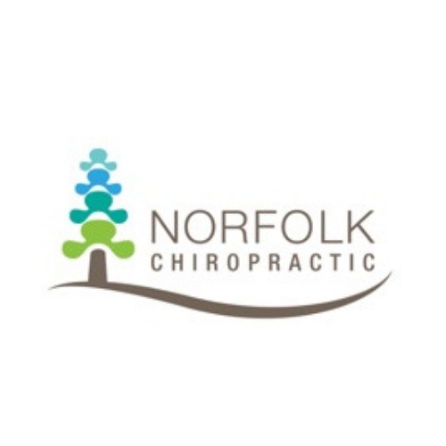Image for Norfolk Chiropractic - Winnipeg with ID of: 3840281