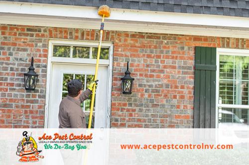 Image for Ace Pest Control with ID of: 3847970