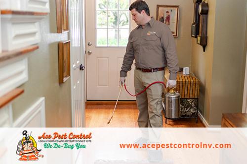 Image for Ace Pest Control with ID of: 3847971