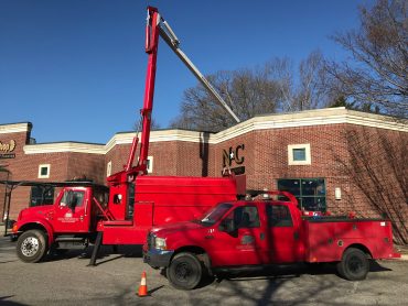Image for Greensboro Tree Services with ID of: 3848773