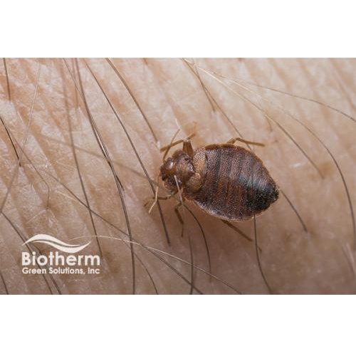 Image for Biotherm Green Solutions with ID of: 3849281