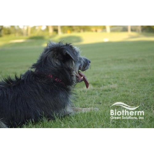 Image for Biotherm Green Solutions with ID of: 3849282
