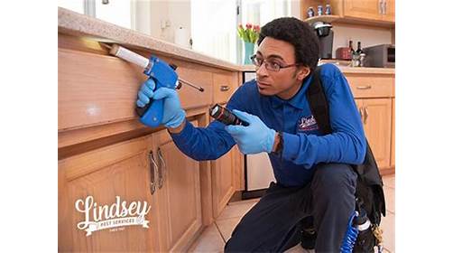 Image for Lindsey Pest Services with ID of: 3855385